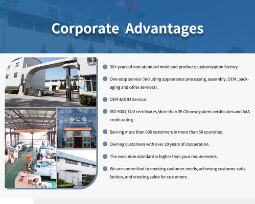 Profesjonalna forma wtryskowa do niestandardowych akcesoriów drzwiowych, gładka powierzchnia, precyzyjny rozmiar do części drzwi wewnętrznych i zewnętrznych